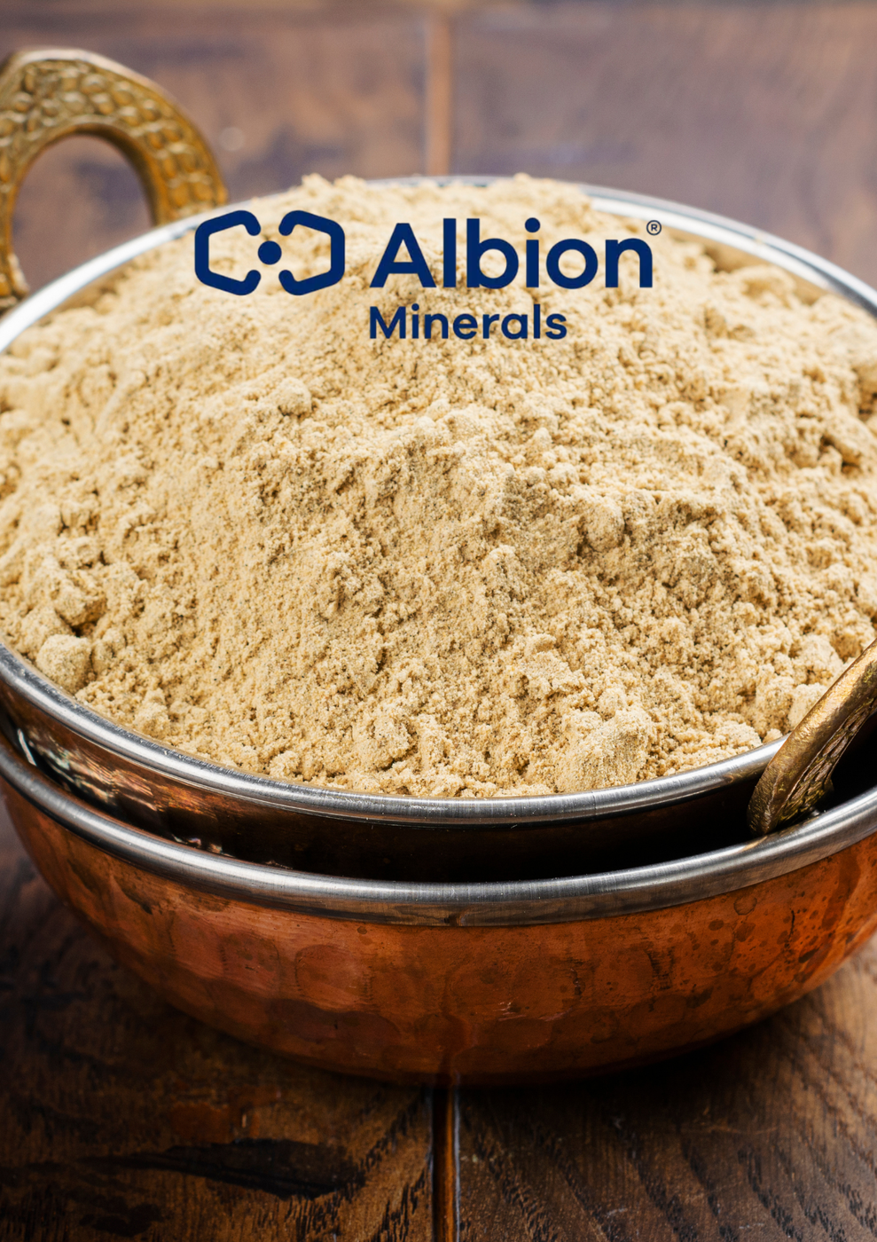 Cobre Albion Minerals